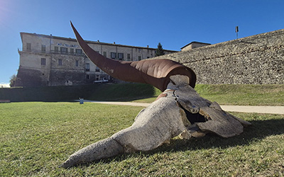 Racconti materici: mostra antologica di Brunivo Buttarelli